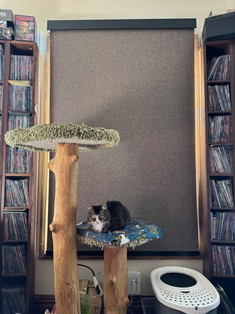 81ybdfggkrl. sl1600 24eb38c9 d852 4a83 831e 1e3610d172f3 81ybdfggkrl. sl1600 24eb38c9 d852 4a83 831e 1e3610d172f3