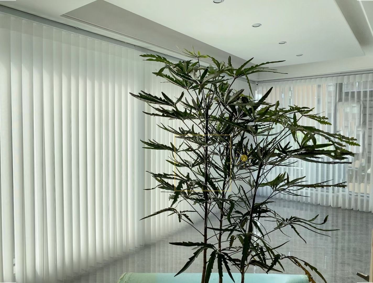 motorized premium vision blinds elegant sheer dream curtains motorized premium vision blinds elegant sheer dream curtains