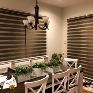 motorized dual zebra shades