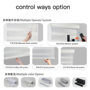 motorized dual zebra shades