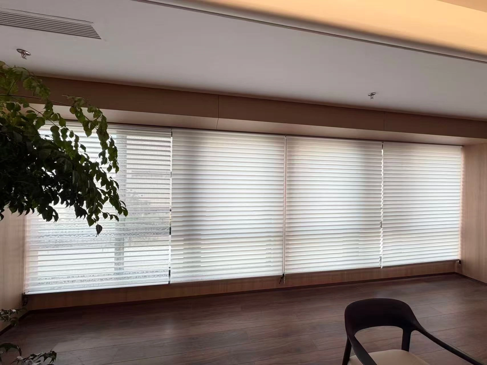 shangri la blinds